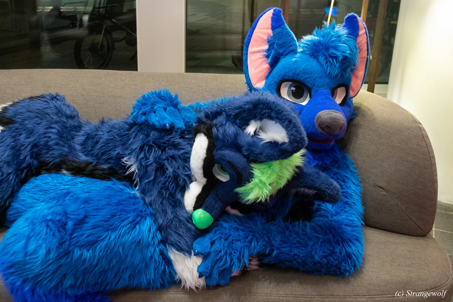 full image 1R3A9385-lr19t.jpg