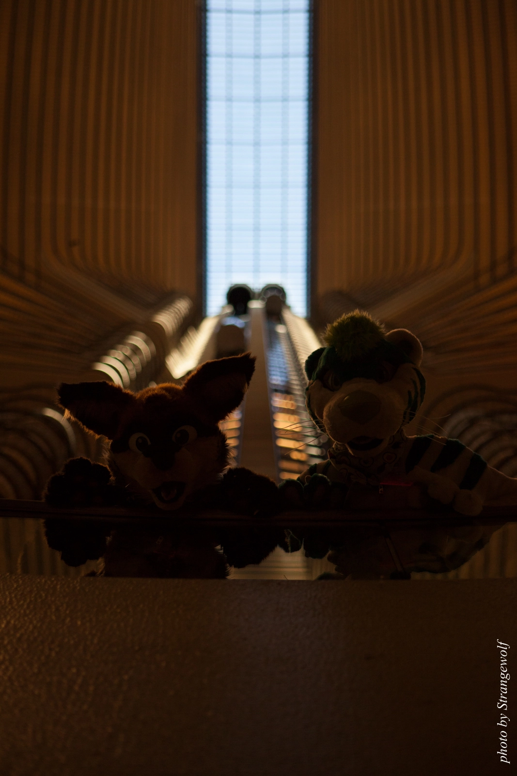 full image IMG_2916-lr16t.jpg