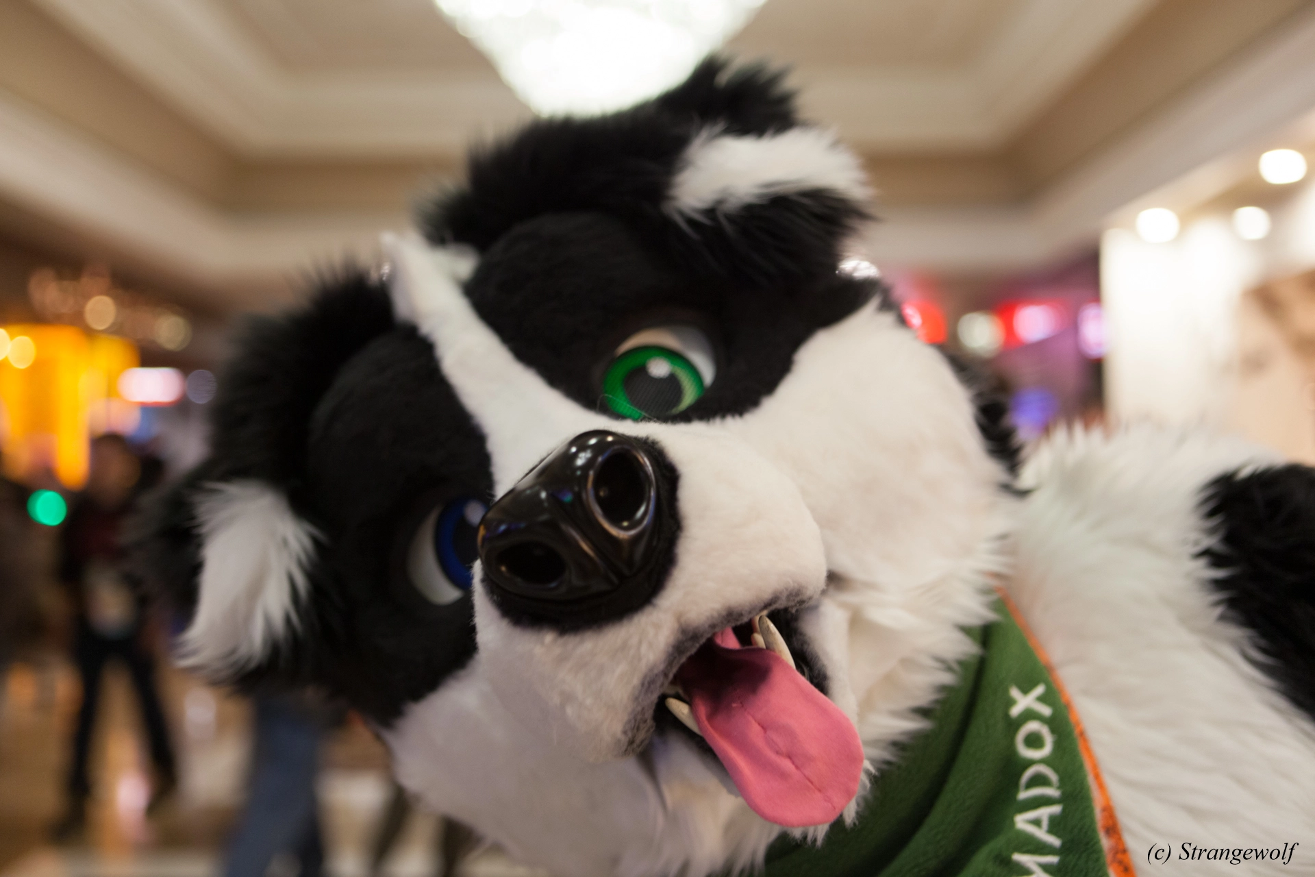 full image IMG_3760-lr19t.jpg