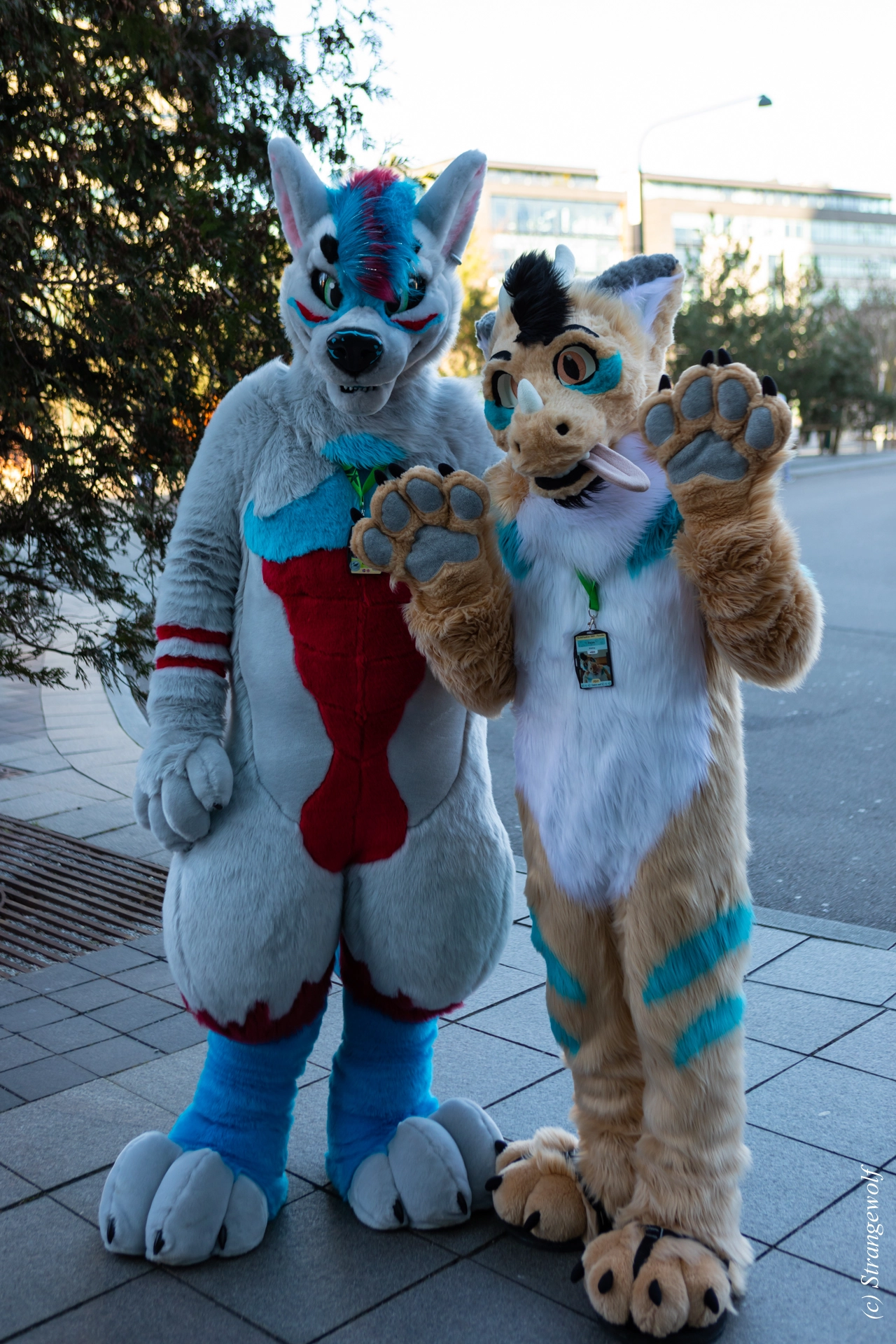 full image 1R3A9825-lr19t.jpg