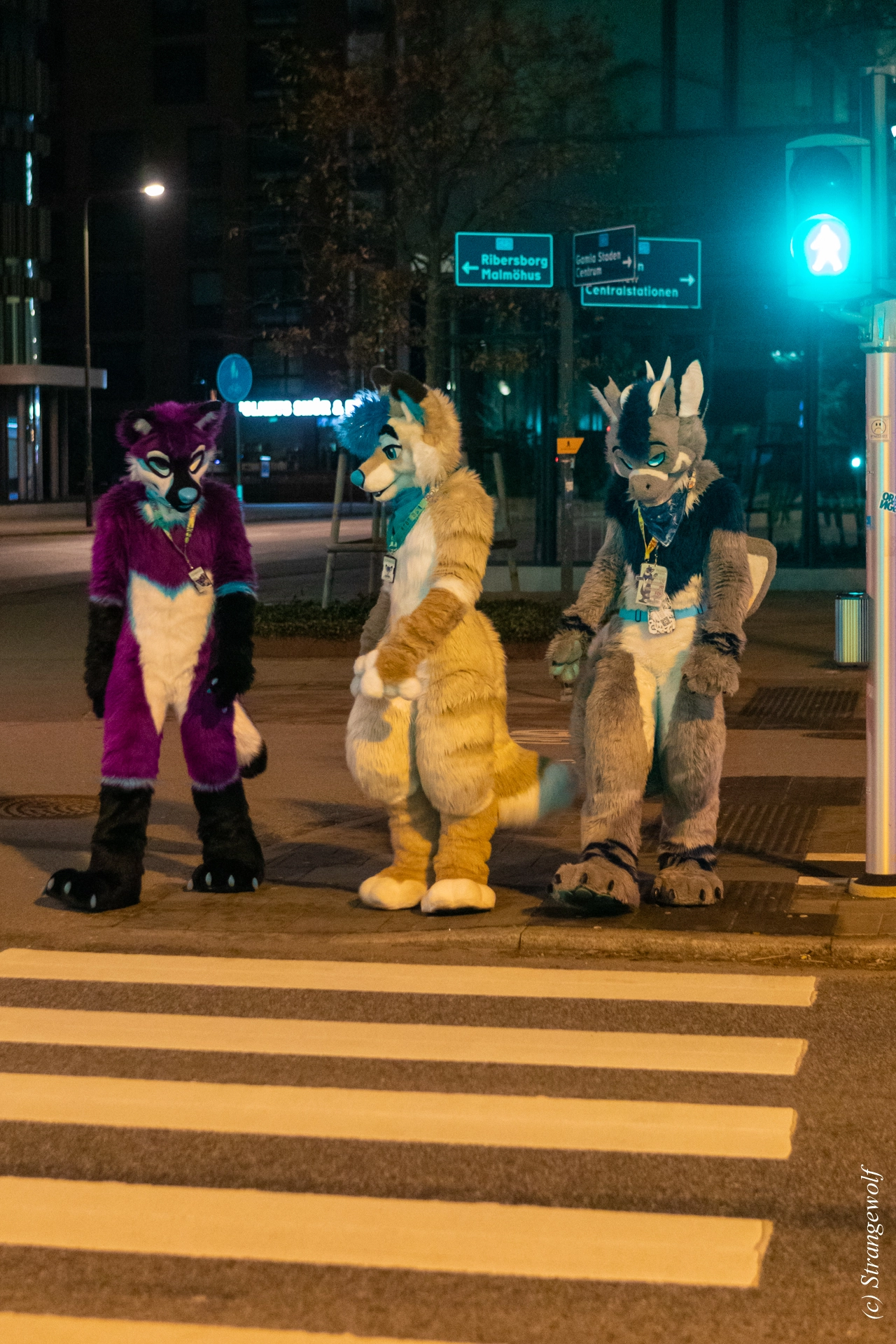 full image 1R3A9267-lr19t.jpg