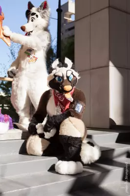 IMG_6178-lr16t.jpg of FWA/FWA2016/