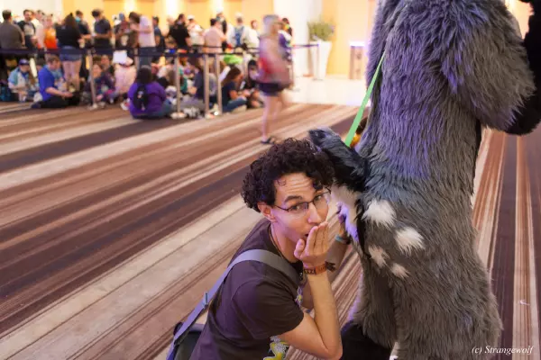 IMG_2085-lr19t.jpg of FWA/FWA2019/