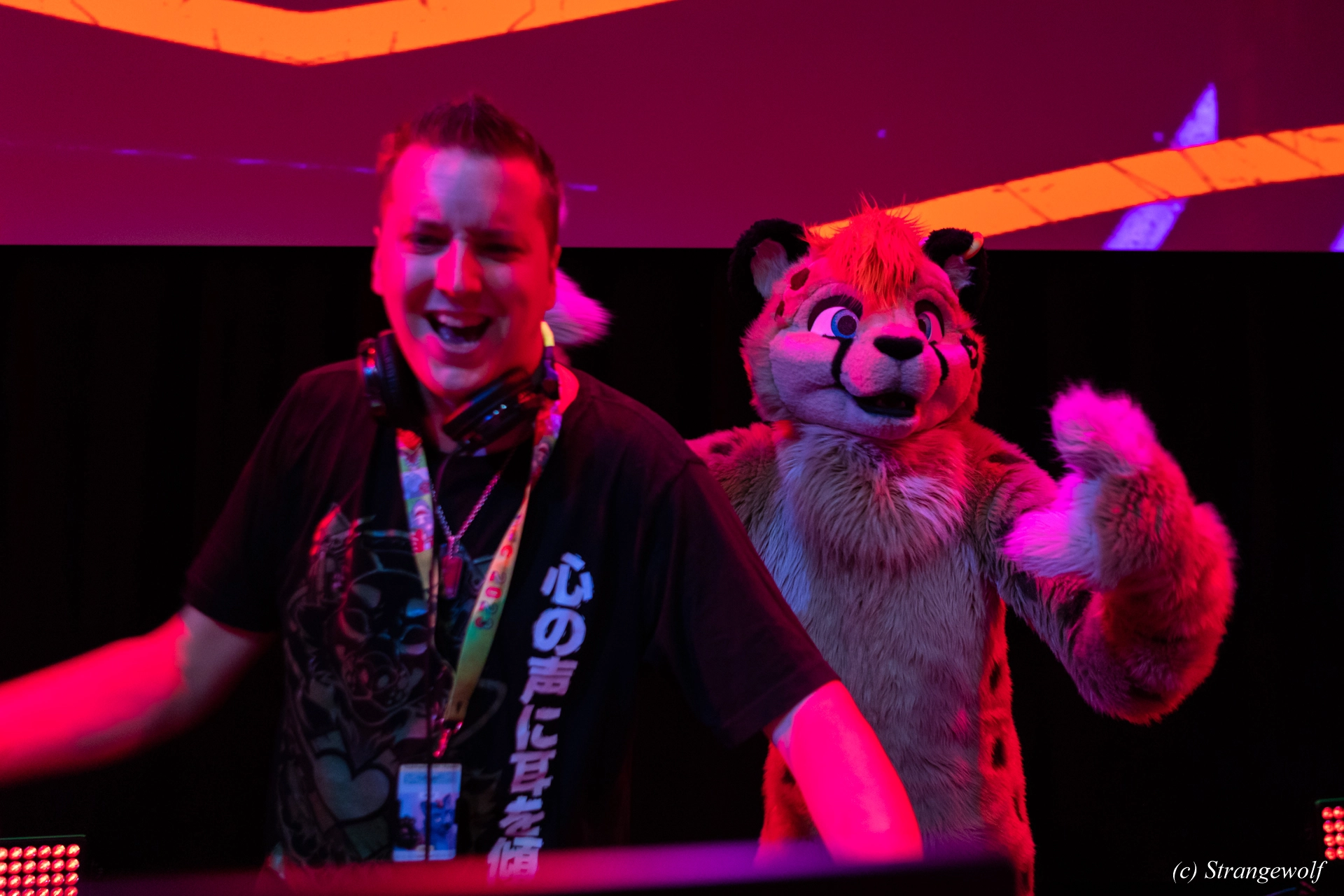 full image 1R3A9698-lr19t.jpg