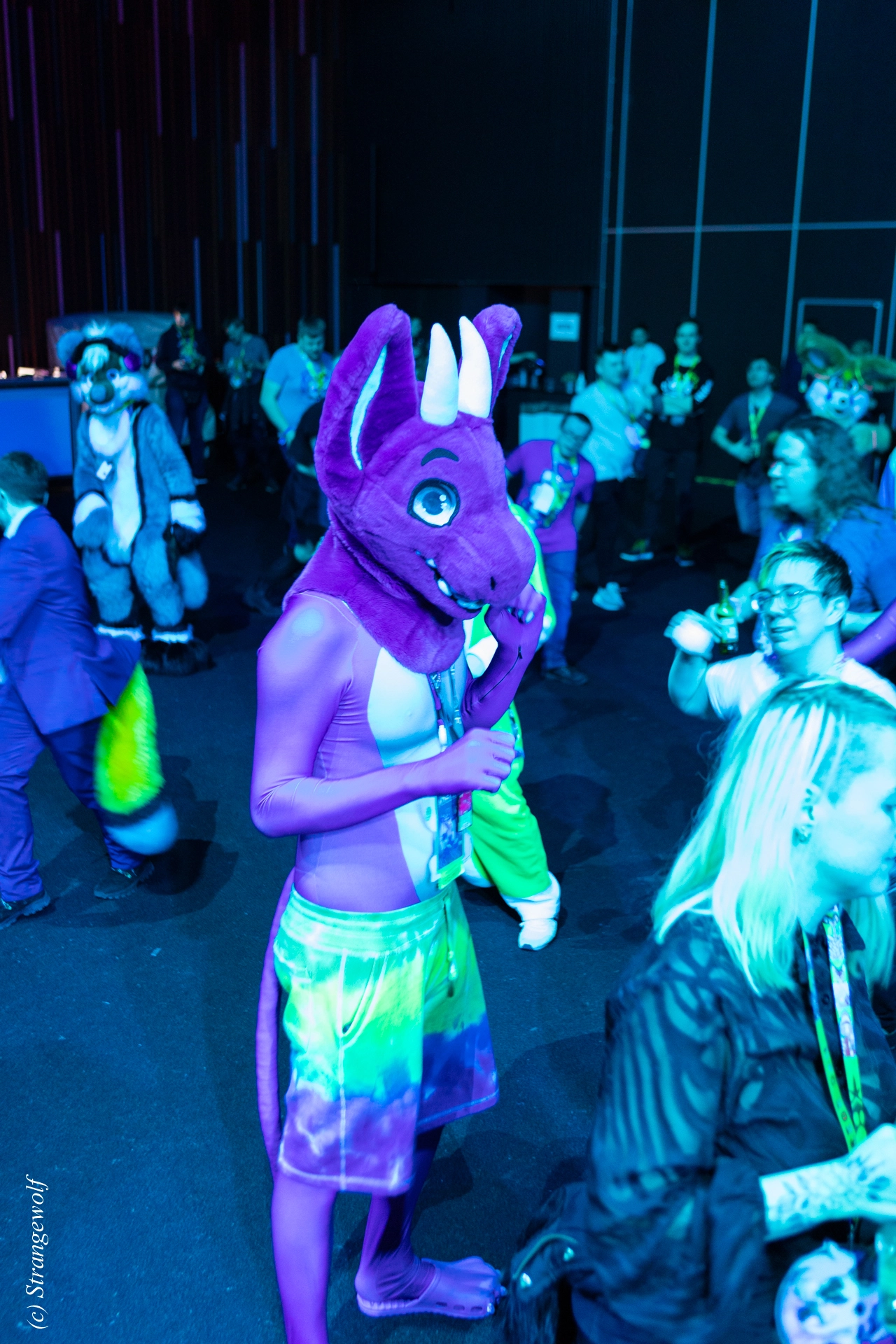 full image 1R3A9687-lr19t.jpg