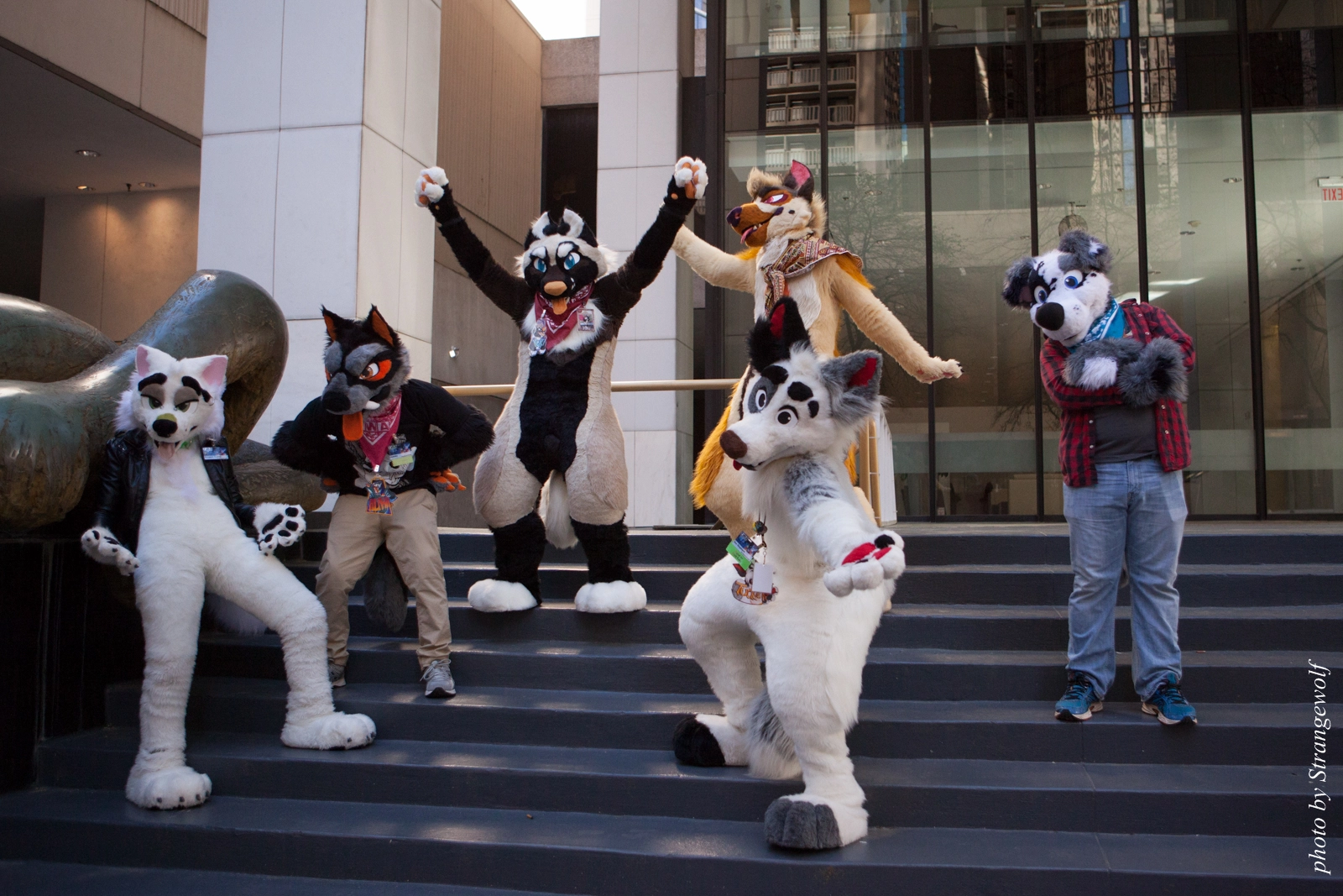 full image IMG_6134-lr16t.jpg
