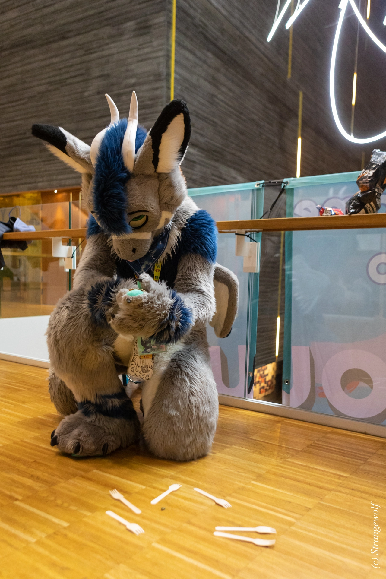 full image 1R3A9414-lr19t.jpg