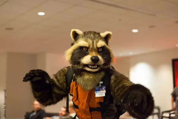 IMG_6278-lr16t.jpg of FWA/FWA2016/