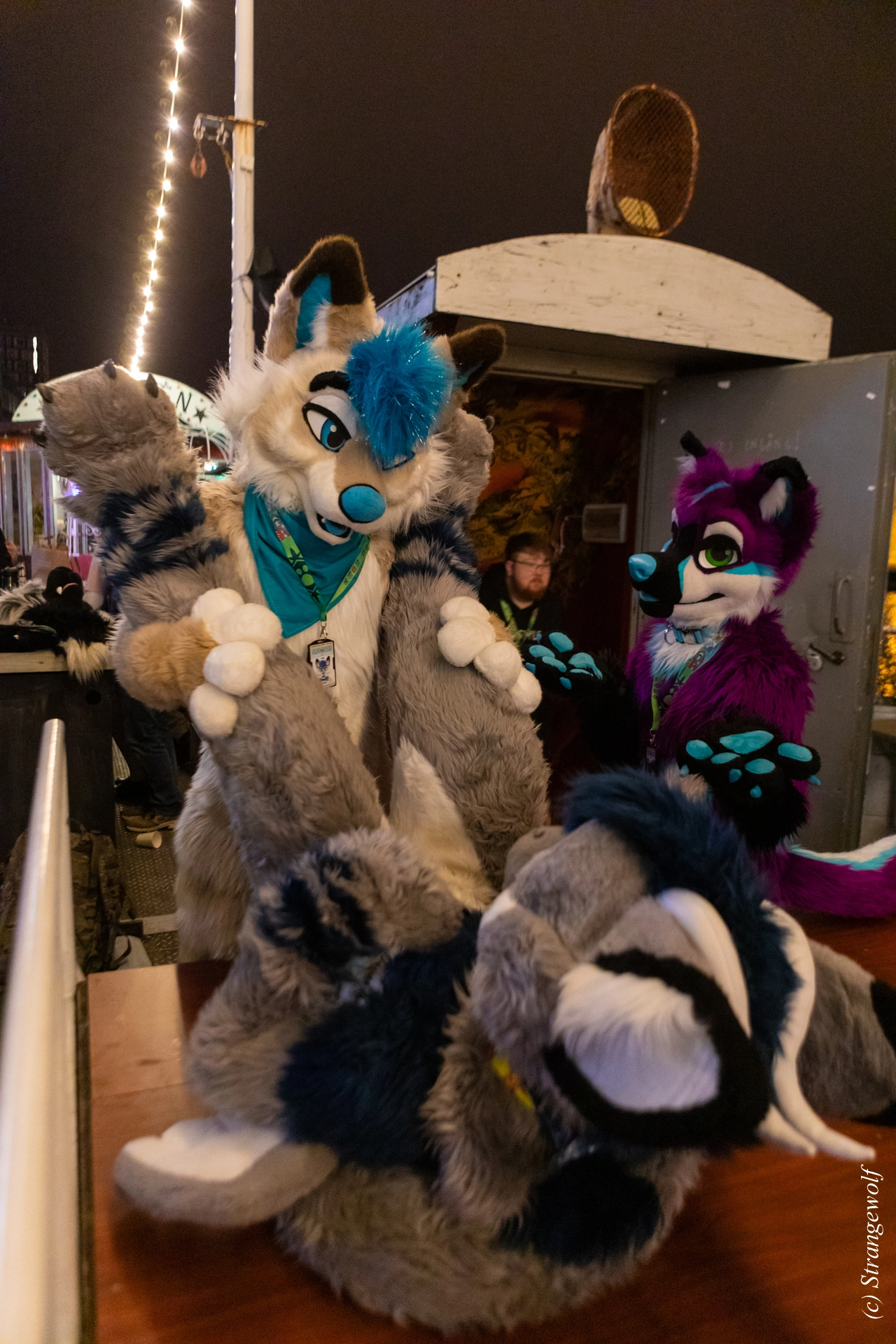 full image 1R3A9213-lr19t.jpg