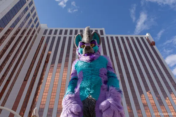 IMG_3127-lr19t.jpg of BLFC/2019/
