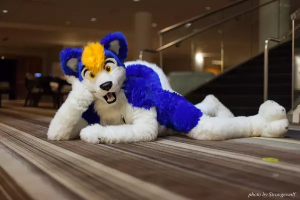 IMG_6000-lr16t.jpg of FWA/FWA2016/