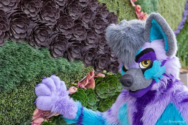 IMG_3147-lr19t.jpg of BLFC/2019/