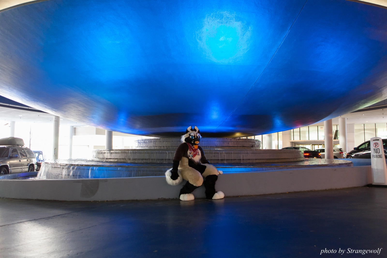 full image IMG_6235-lr16t.jpg
