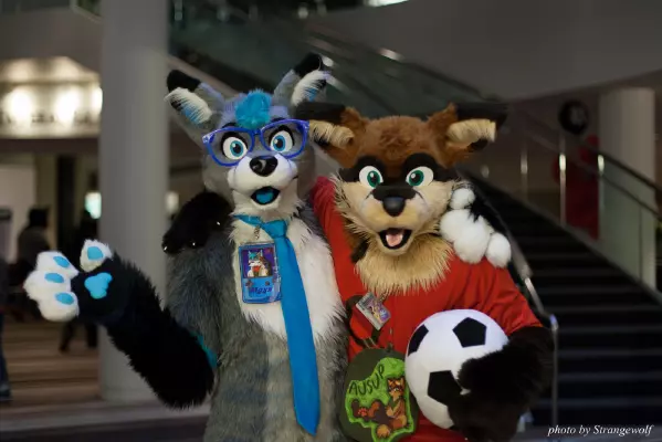 IMG_2714-lr16t.jpg of FWA/FWA2017/