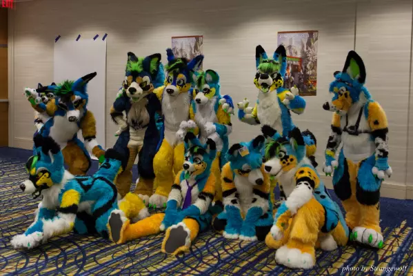 IMG_7806-lr16t.jpg of FWA/FWA2015/
