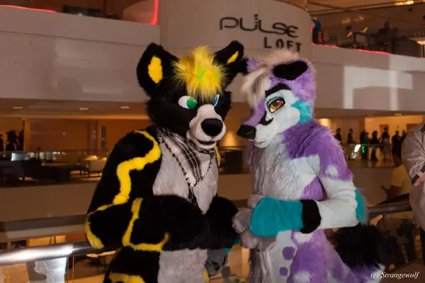 IMG_2246-lr19t.jpg of FWA/FWA2019/