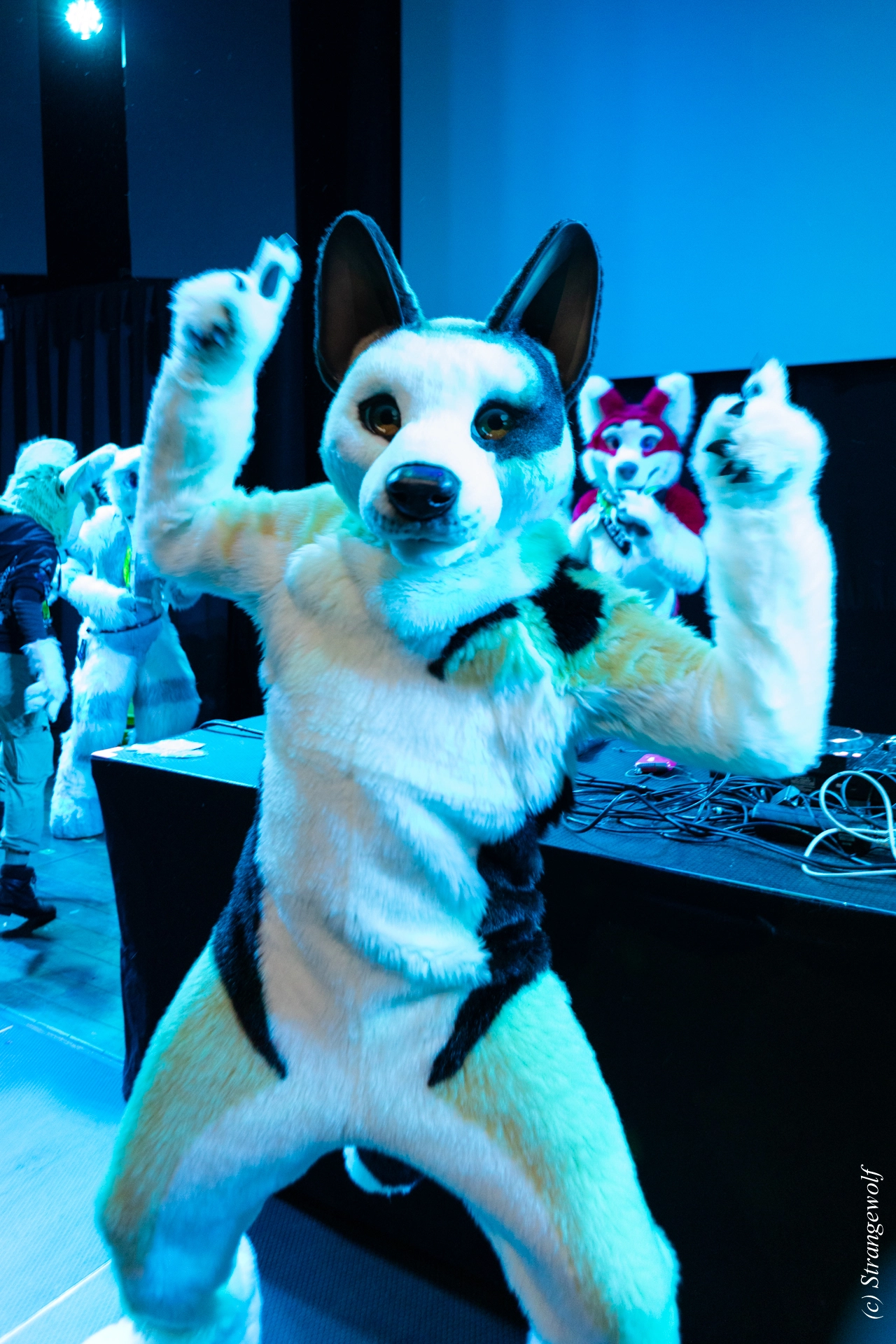 full image 1R3A9676-lr19t.jpg