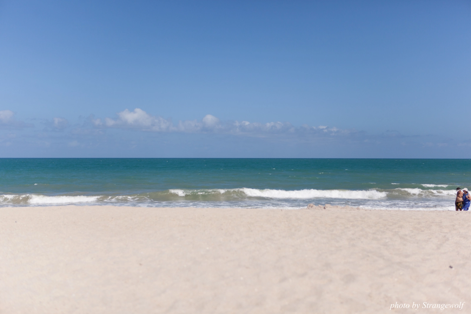 full image IMG_7348-lr16t.jpg