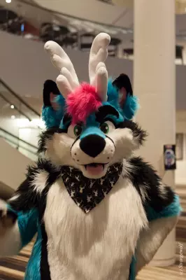 IMG_2409-lr19t.jpg of FWA/FWA2019/