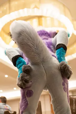 IMG_2169-lr19t.jpg of FWA/FWA2019/