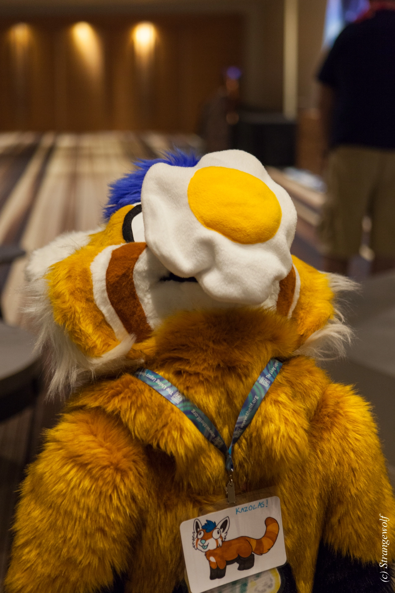 full image IMG_2441-lr19t.jpg