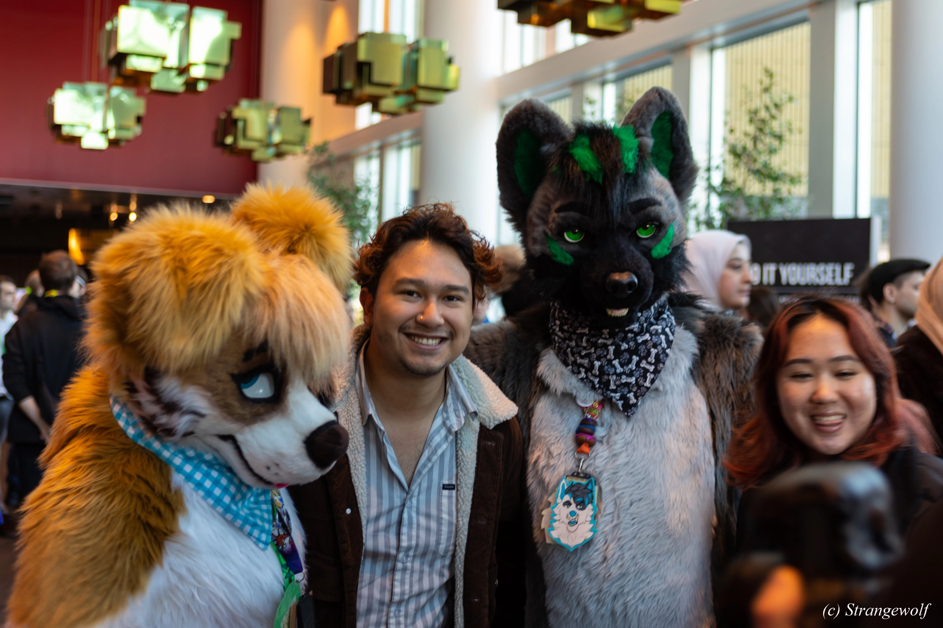 full image 1R3A9814-lr19t.jpg