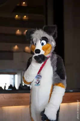 IMG_6048-lr16t.jpg of FWA/FWA2016/