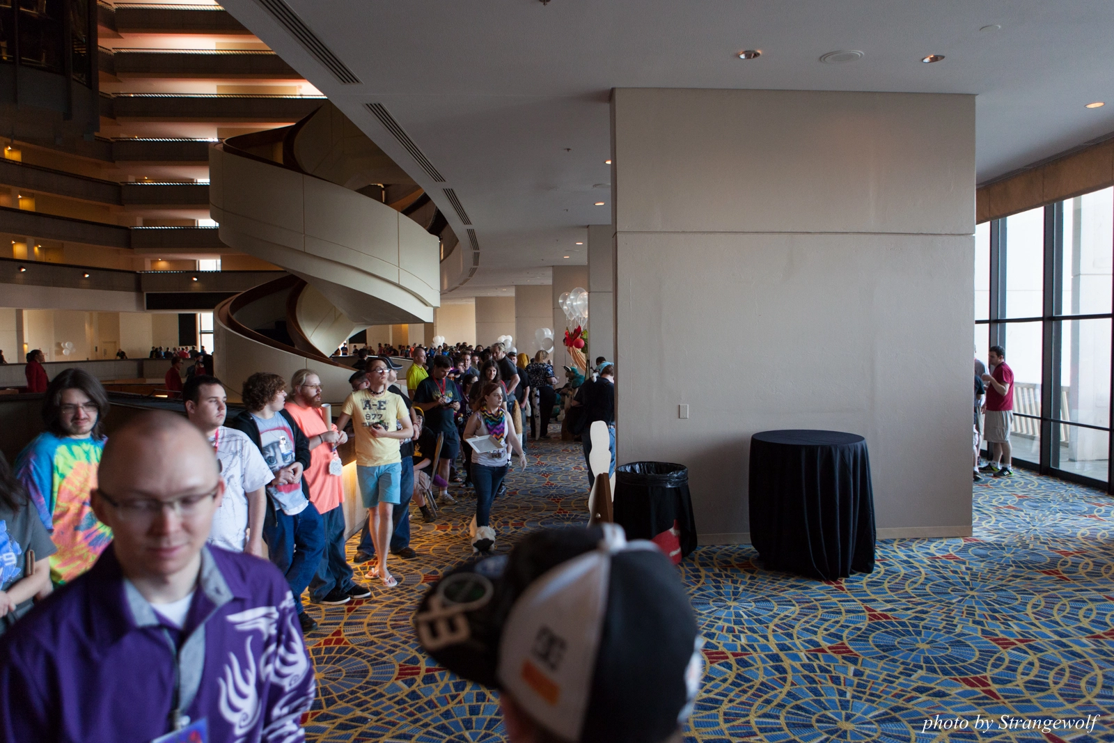 full image IMG_7566-lr16t.jpg
