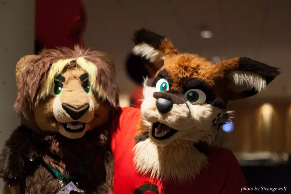 IMG_2744-lr16t.jpg of FWA/FWA2017/