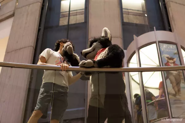 IMG_1804-lr19t.jpg of FWA/FWA2019/