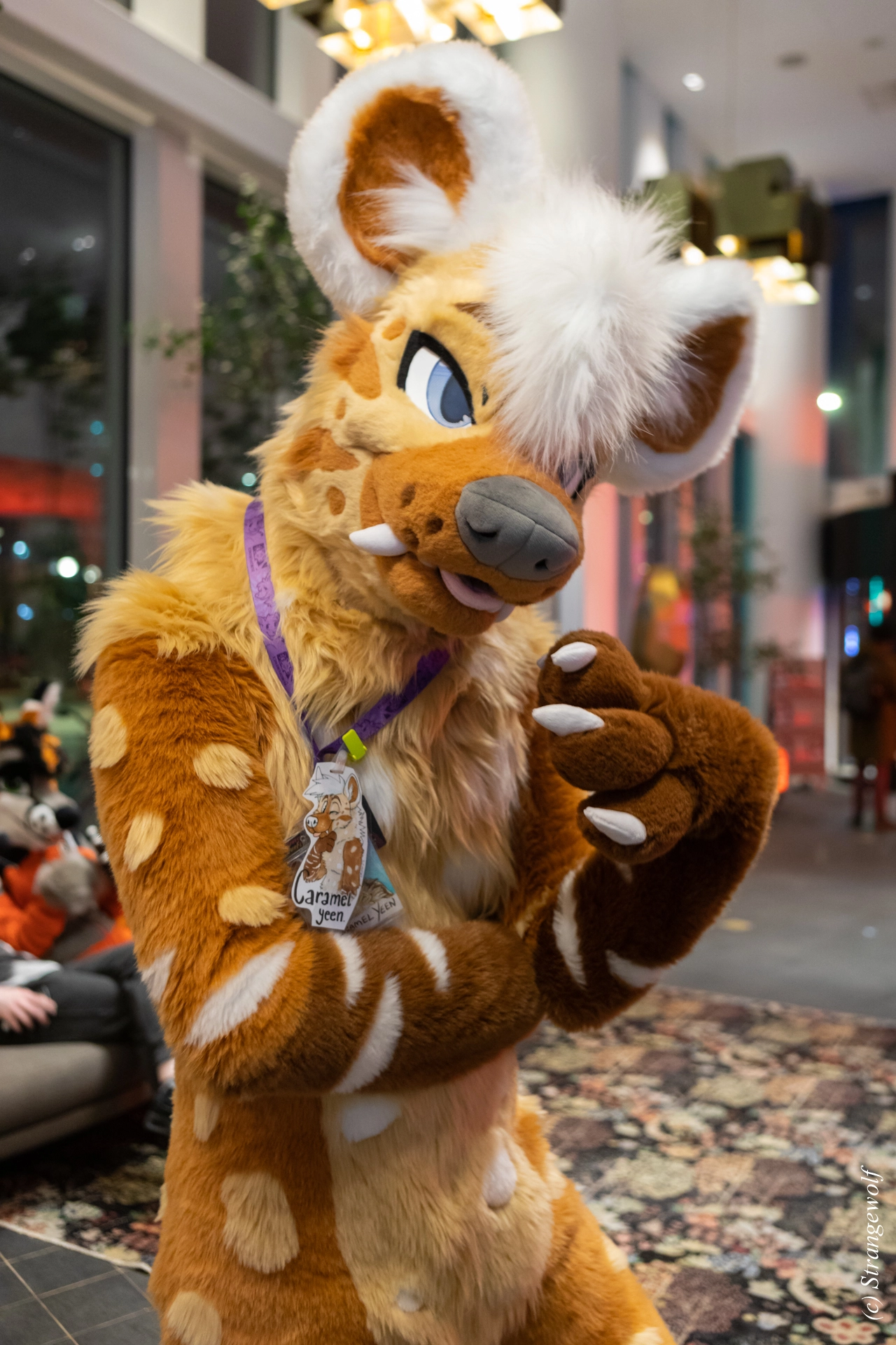 full image 1R3A0085-lr19t.jpg