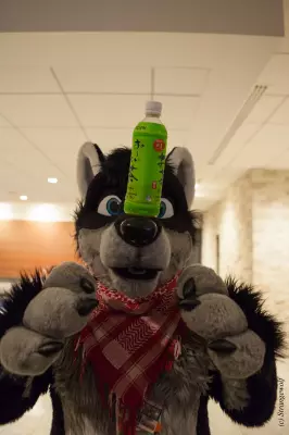IMG_1686-lr19t.jpg of FWA/FWA2019/