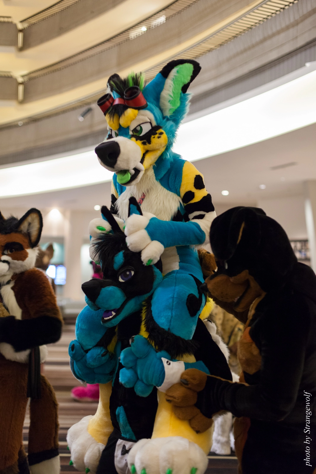 full image IMG_3055-lr16t.jpg