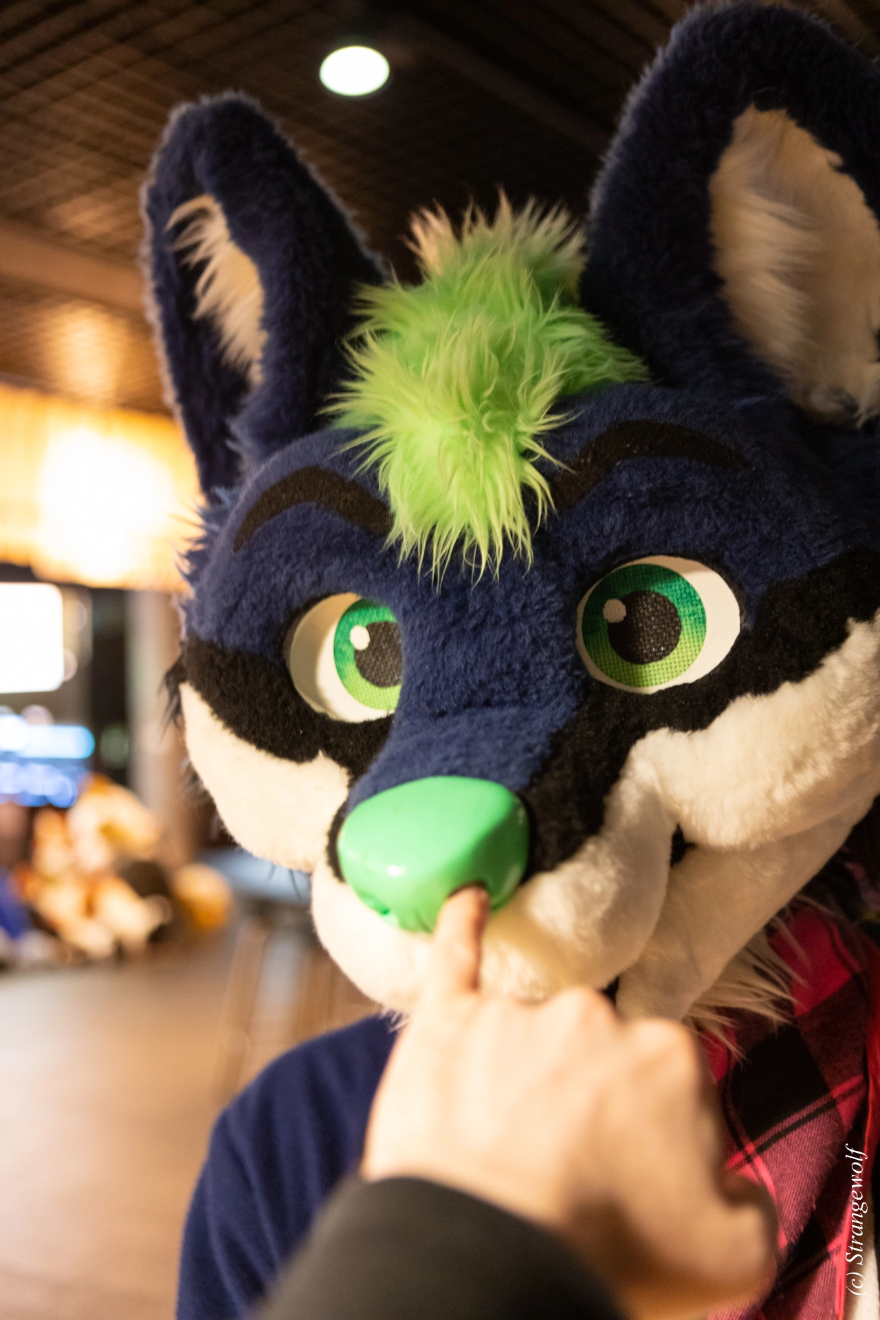 full image 1R3A9975-lr19t.jpg