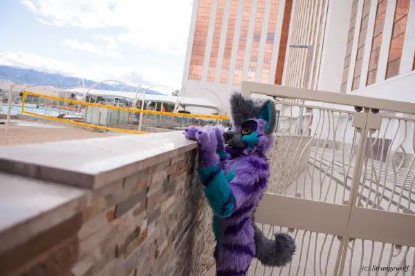 IMG_2859-lr19t.jpg of BLFC/2019/