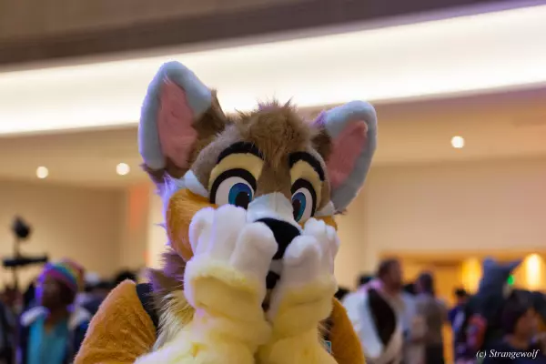 IMG_1985-lr19t.jpg of FWA/FWA2019/