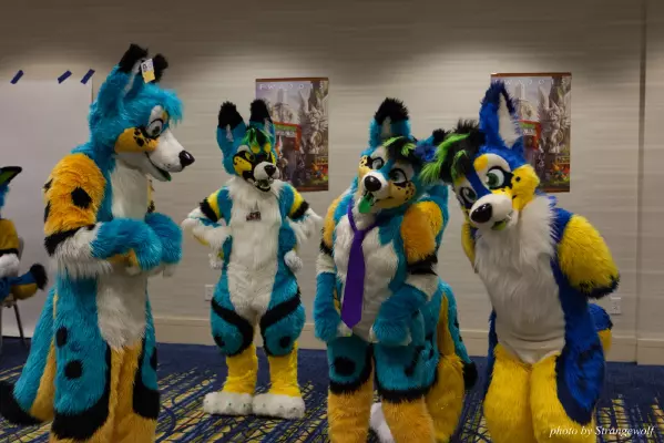 IMG_7794-lr16t.jpg of FWA/FWA2015/