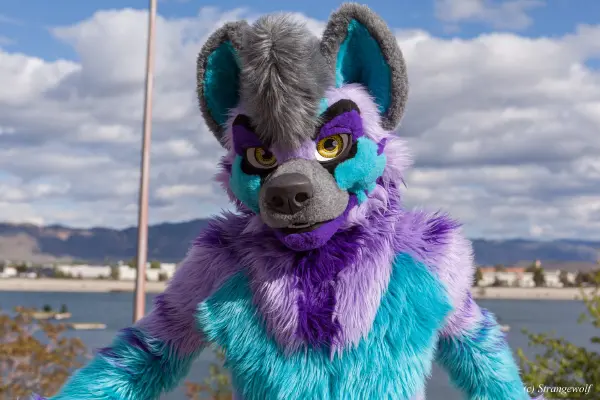 IMG_2979-lr19t.jpg of BLFC/2019/