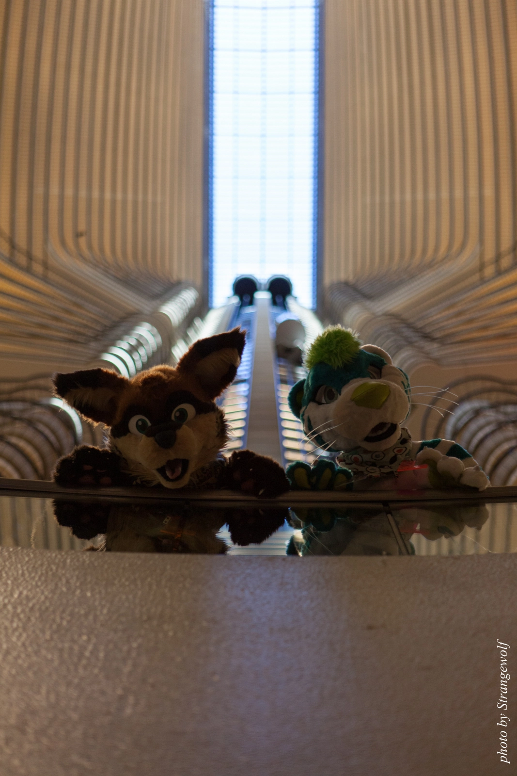 full image IMG_2925-lr16t.jpg