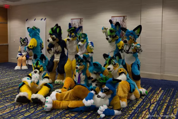 IMG_7814-lr16t.jpg of FWA/FWA2015/
