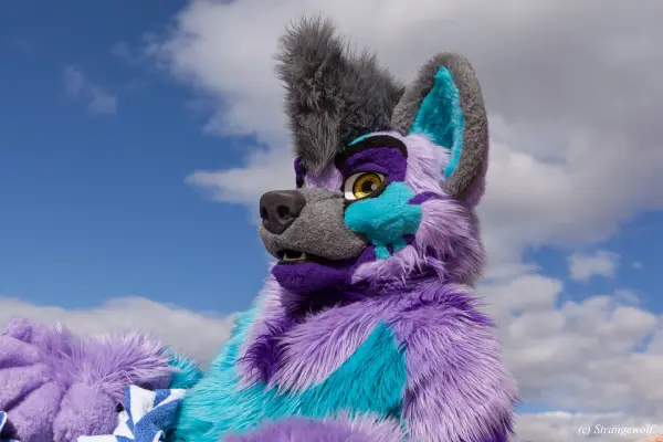 IMG_2965-lr19t.jpg of BLFC/2019/