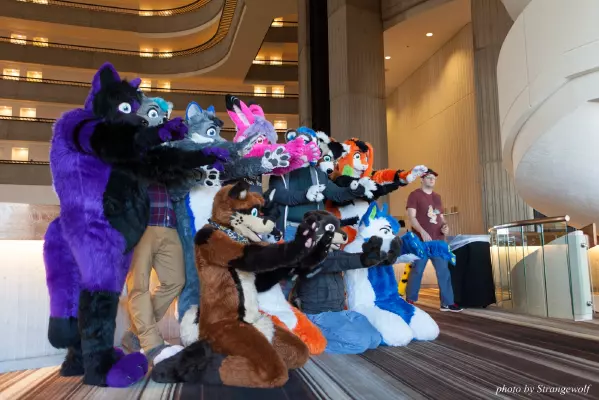IMG_2840-lr16t.jpg of FWA/FWA2017/