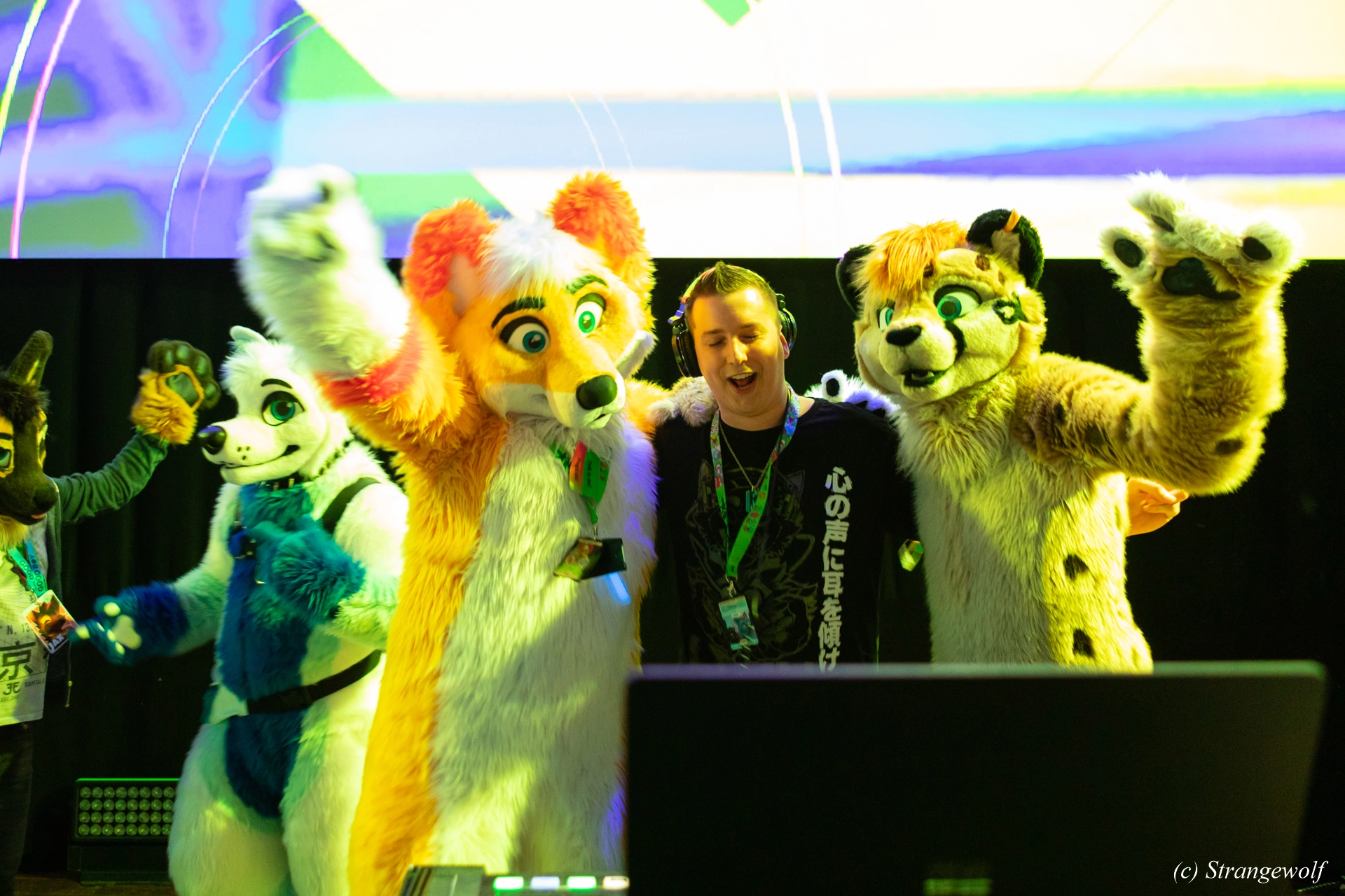 full image 1R3A9603-lr19t.jpg