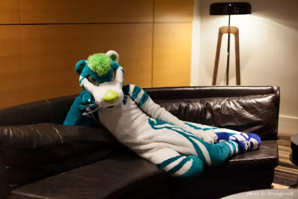 IMG_2723-lr16t.jpg of FWA/FWA2017/