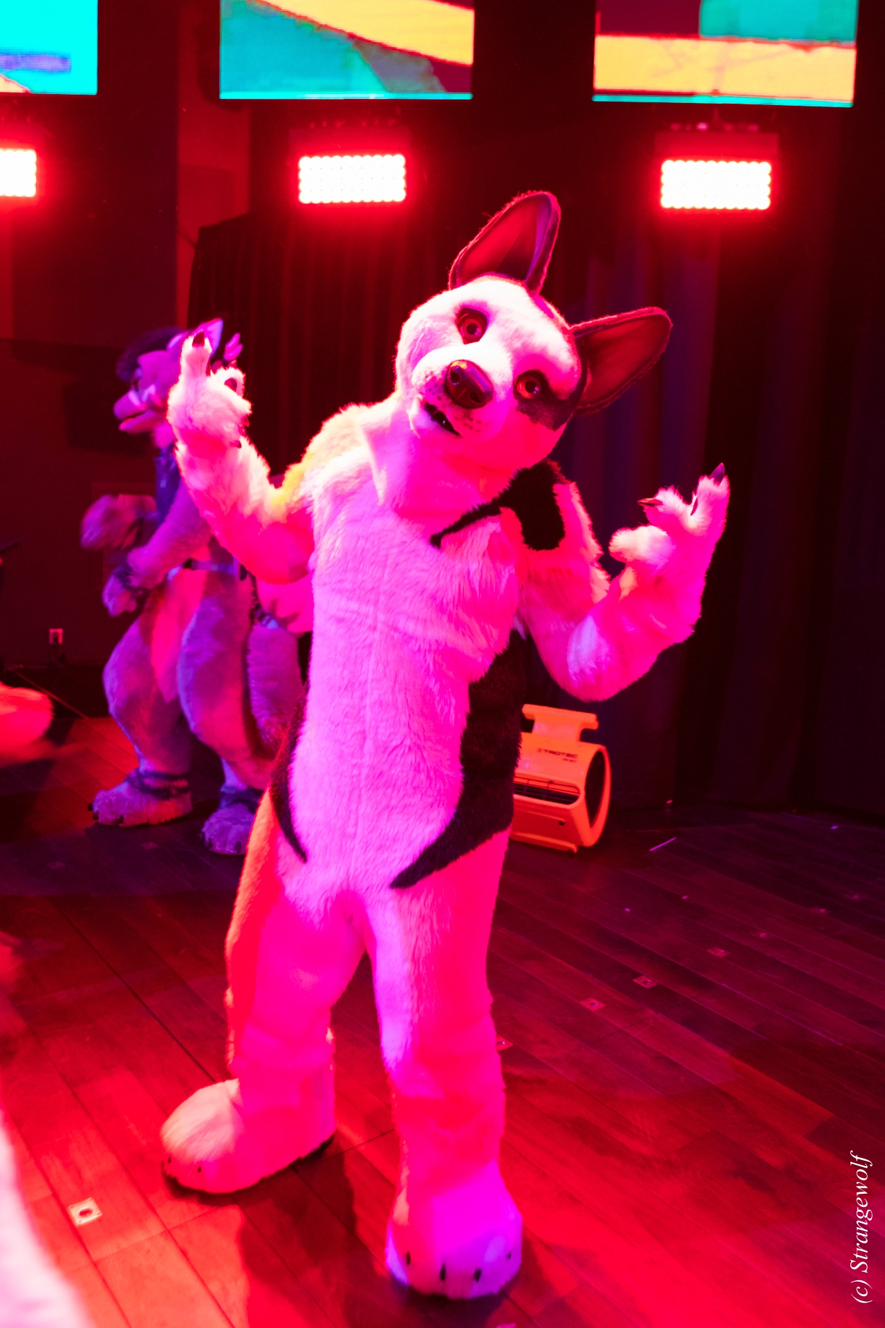 full image 1R3A9730-lr19t.jpg