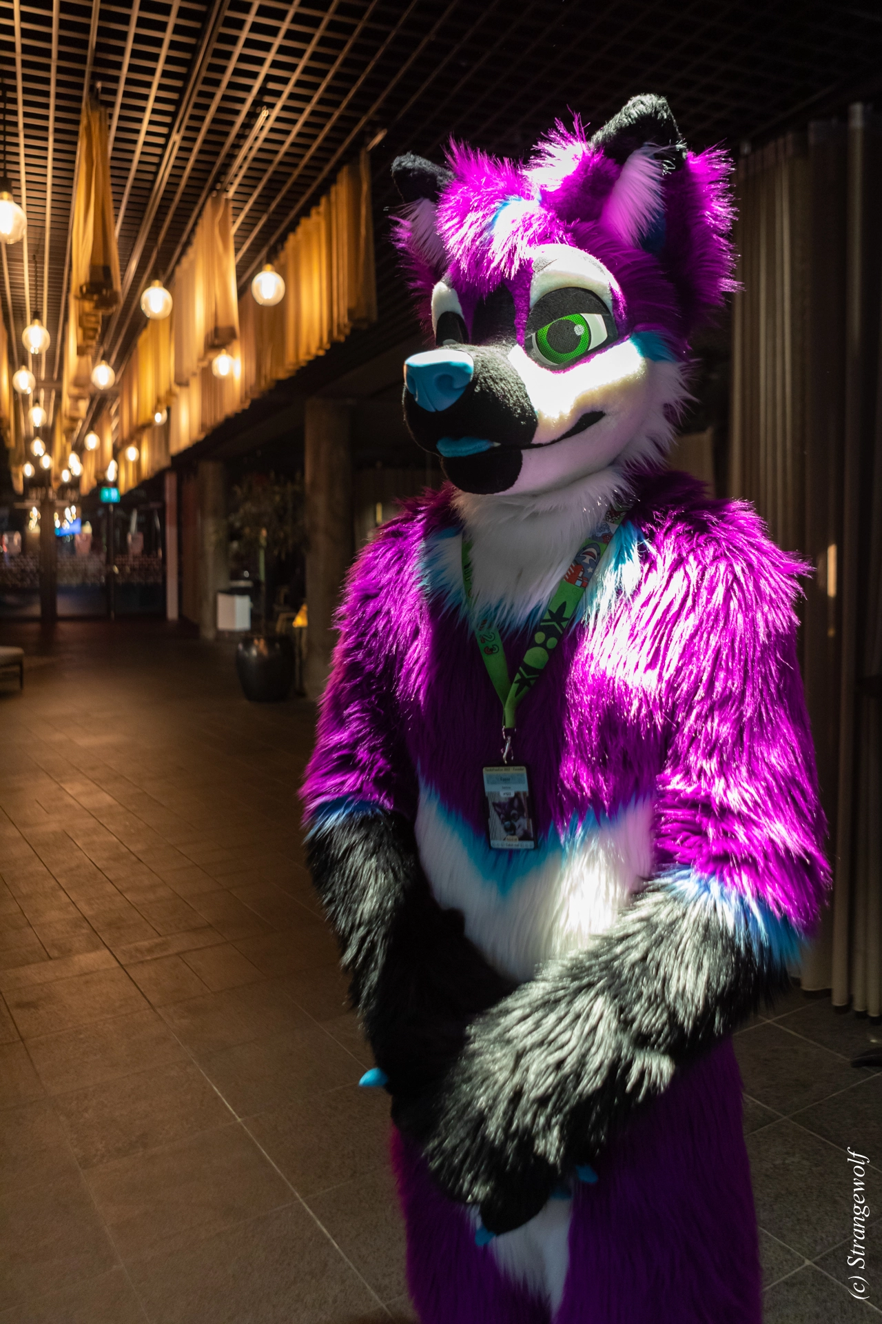 full image 1R3A0156-lr19t.jpg