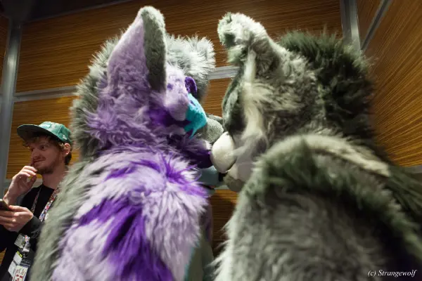 IMG_3372-lr19t.jpg of BLFC/2019/