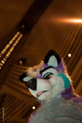 IMG_2209-lr19t.jpg of FWA/FWA2019/
