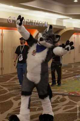 IMG_3694-lr19t.jpg of BLFC/2019/