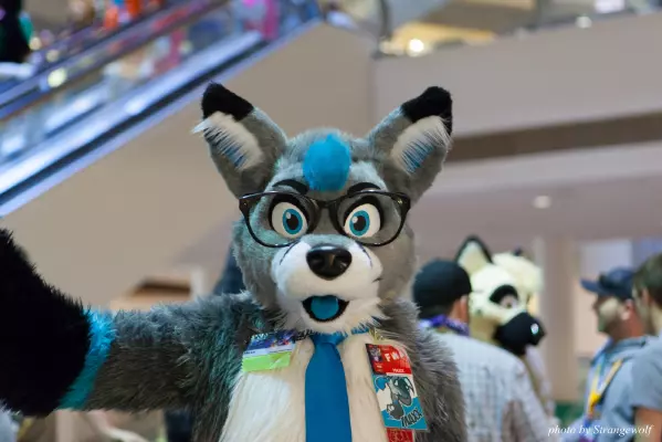 IMG_6314-lr16t.jpg of FWA/FWA2016/